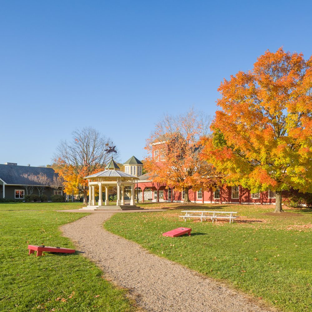 view of Shelburne Commons