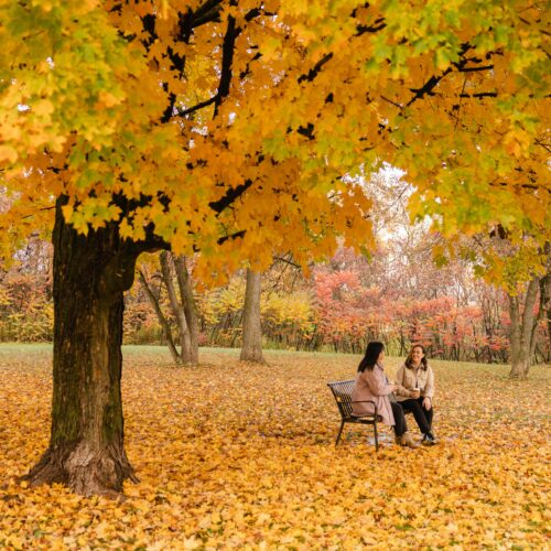 People sitting on a benchin the fall